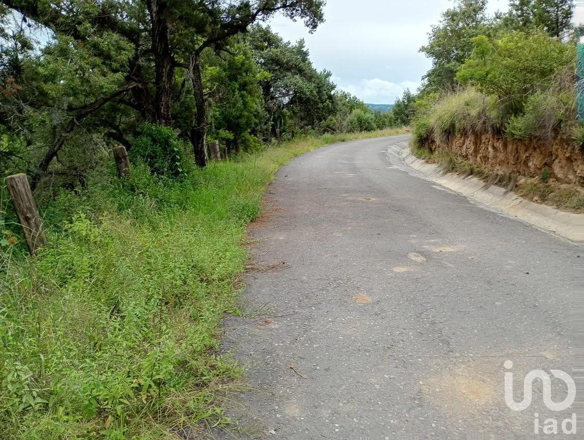 Terreno en Venta en Alpotzonga, Ixtacuixtla de Mariano Matamoros, Tlaxcala | NEX-256991 | iad México | Foto 3 de 10