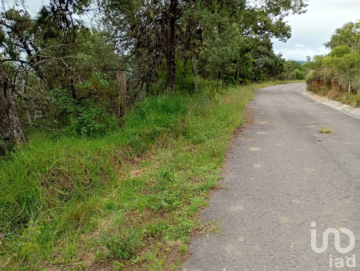 Terreno en Venta en Alpotzonga, Ixtacuixtla de Mariano Matamoros, Tlaxcala | NEX-256991 | iad México | Foto 4 de 10