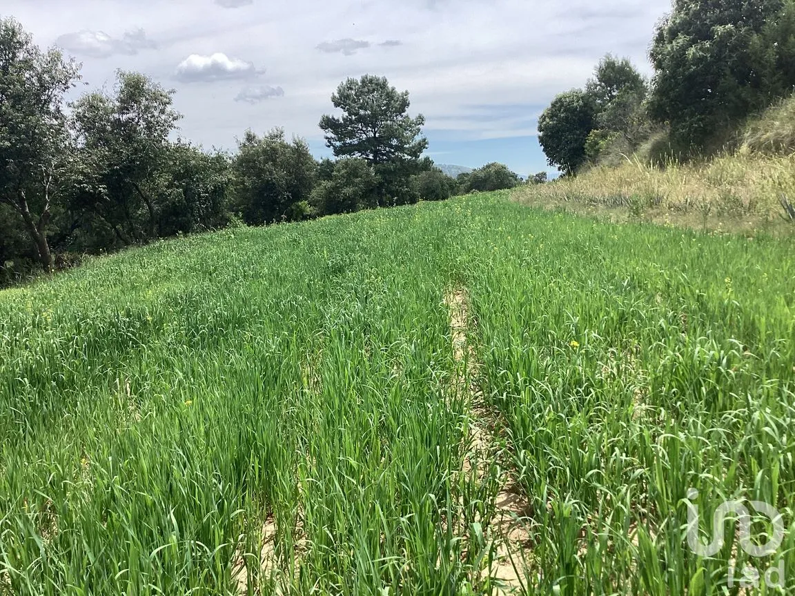 Terreno en Venta en Alpotzonga, Ixtacuixtla de Mariano Matamoros, Tlaxcala | NEX-256991 | iad México | Foto 5 de 10