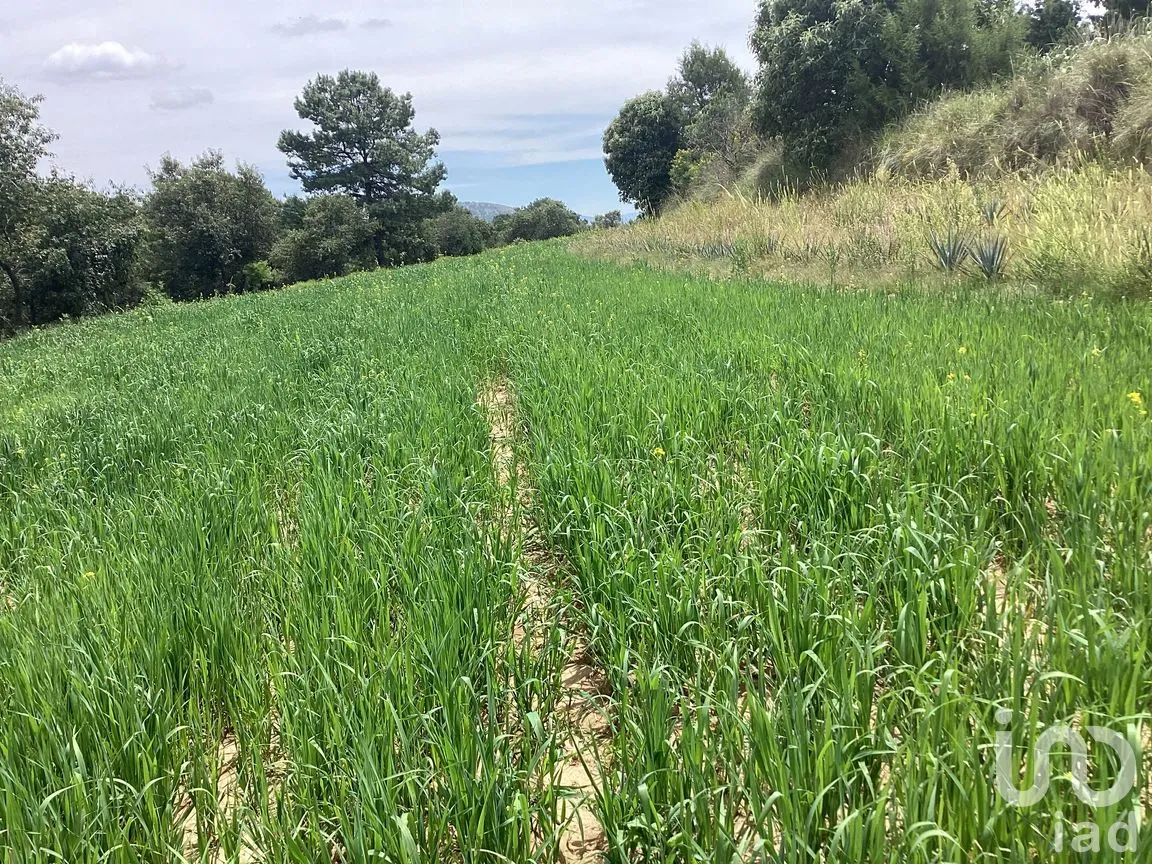 Terreno en Venta en Alpotzonga, Ixtacuixtla de Mariano Matamoros, Tlaxcala | NEX-256991 | iad México | Foto 7 de 10