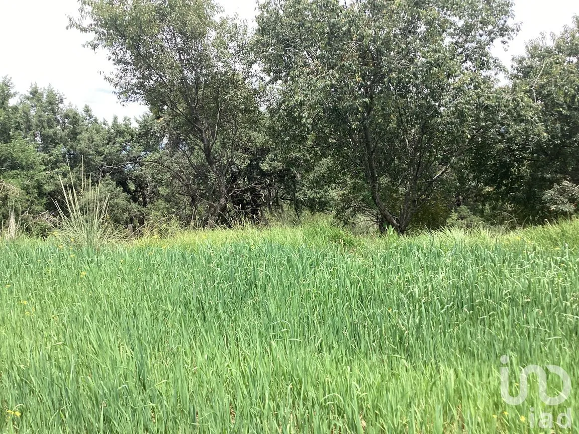 Terreno en Venta en Alpotzonga, Ixtacuixtla de Mariano Matamoros, Tlaxcala | NEX-256991 | iad México | Foto 8 de 10