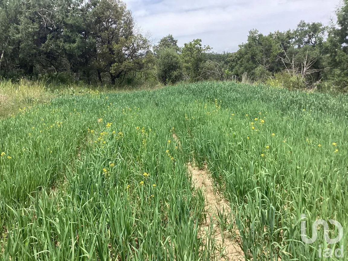 Terreno en Venta en Alpotzonga, Ixtacuixtla de Mariano Matamoros, Tlaxcala | NEX-256991 | iad México | Foto 9 de 10