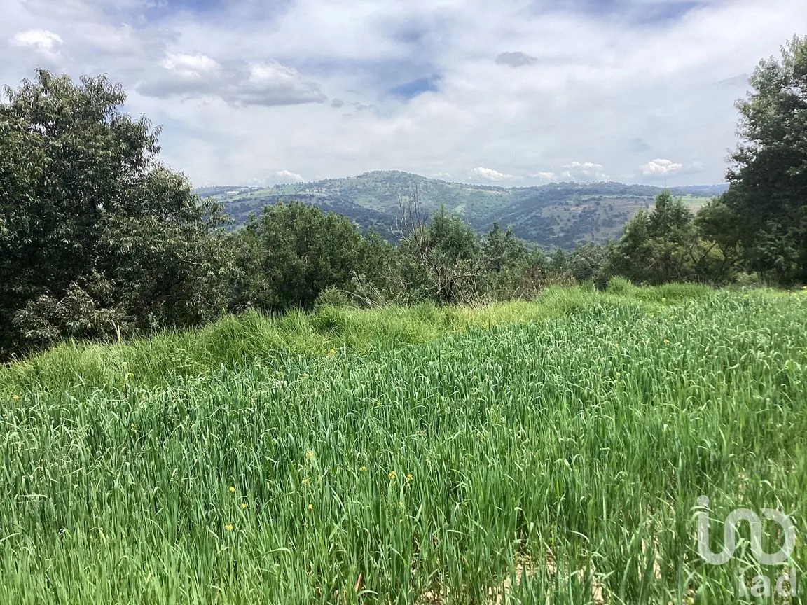 Terreno en Venta en Alpotzonga, Ixtacuixtla de Mariano Matamoros, Tlaxcala | NEX-256991 | iad México | Foto 1 de 10