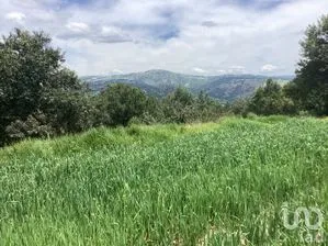 NEX-256991 - Terreno en Venta en Alpotzonga, CP 90130, Tlaxcala.
