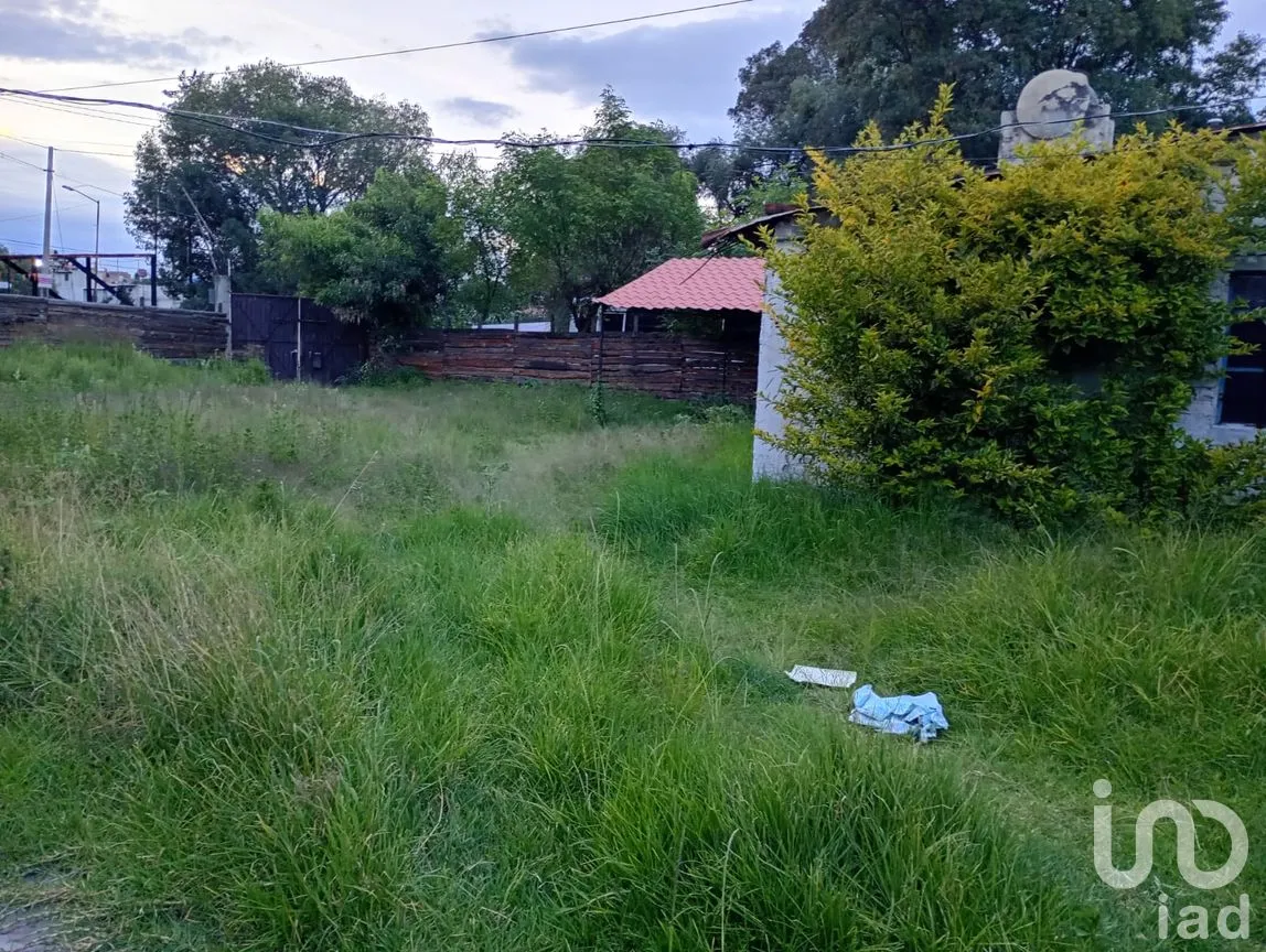 Terreno en Renta en Buenavista, San Martín Texmelucan, Puebla | NEX-257589 | iad México | Foto 2 de 30