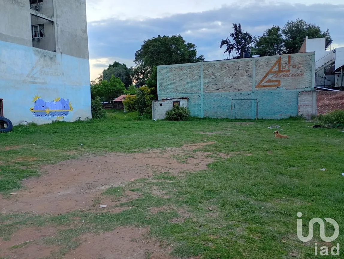 Terreno en Renta en Buenavista, San Martín Texmelucan, Puebla | NEX-257589 | iad México | Foto 12 de 30