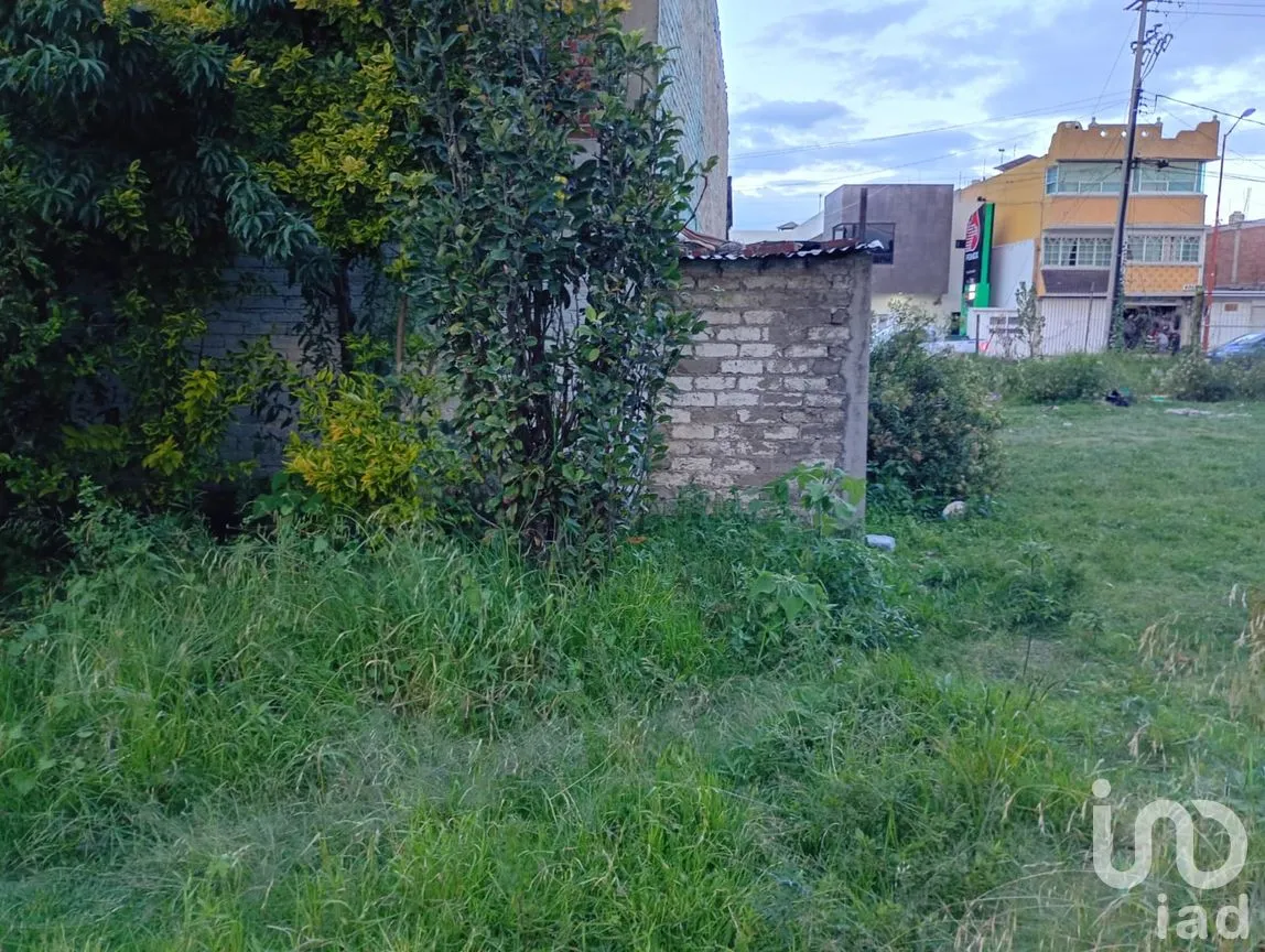 Terreno en Renta en Buenavista, San Martín Texmelucan, Puebla | NEX-257589 | iad México | Foto 13 de 30