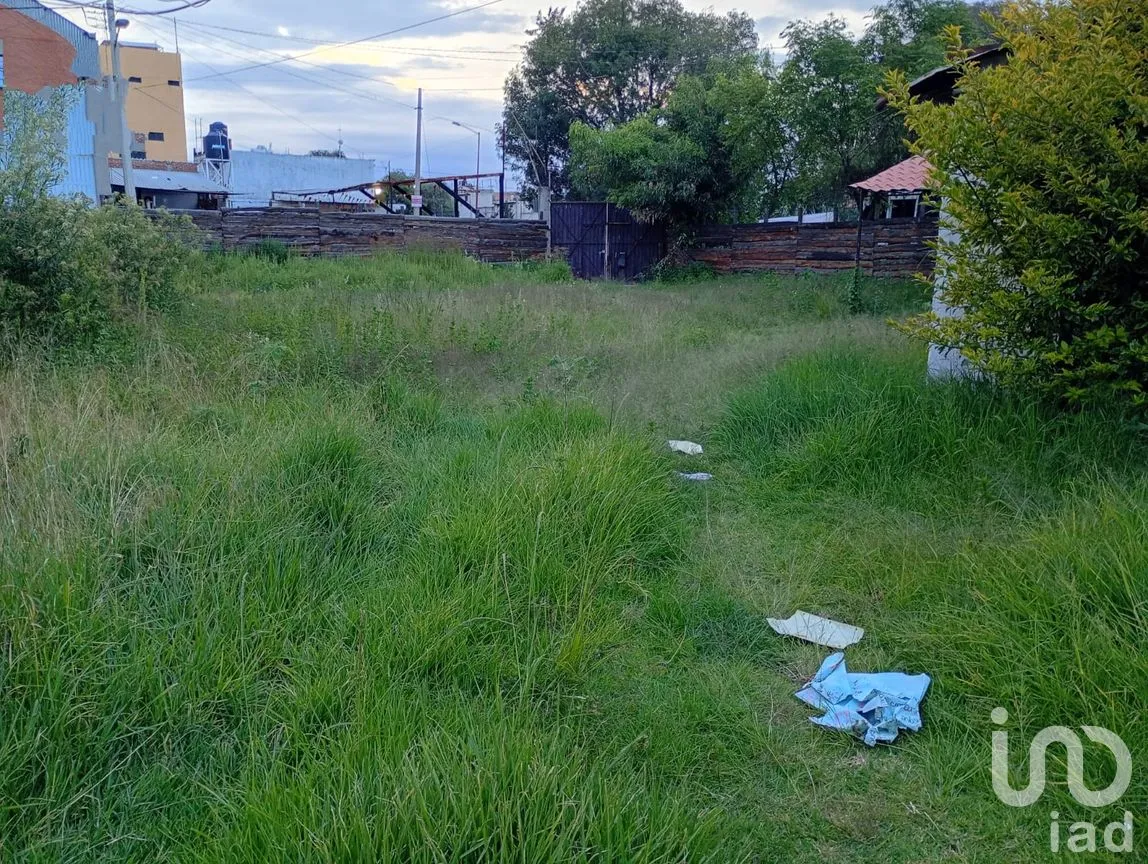Terreno en Renta en Buenavista, San Martín Texmelucan, Puebla | NEX-257589 | iad México | Foto 15 de 30