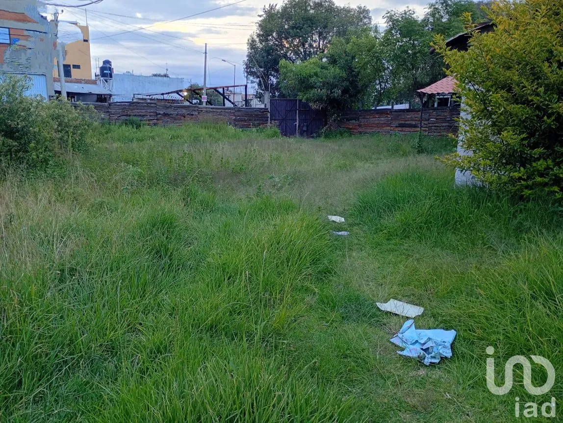 Terreno en Renta en Buenavista, San Martín Texmelucan, Puebla | NEX-257589 | iad México | Foto 17 de 30