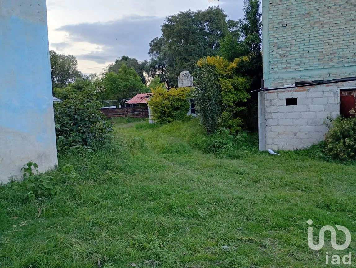 Terreno en Renta en Buenavista, San Martín Texmelucan, Puebla | NEX-257589 | iad México | Foto 19 de 30