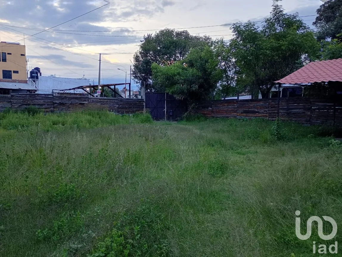 Terreno en Renta en Buenavista, San Martín Texmelucan, Puebla | NEX-257589 | iad México | Foto 28 de 30