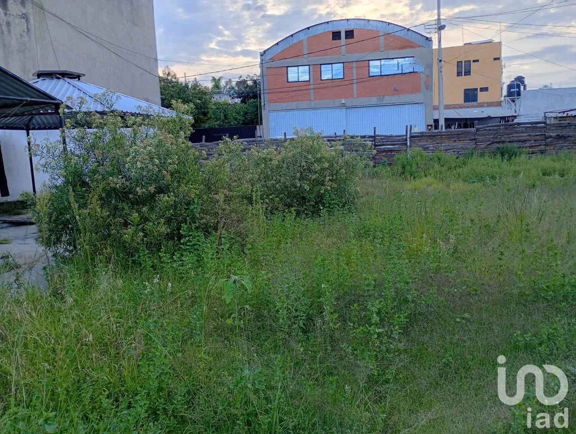 Terreno en Renta en Buenavista, San Martín Texmelucan, Puebla | NEX-257589 | iad México | Foto 30 de 30