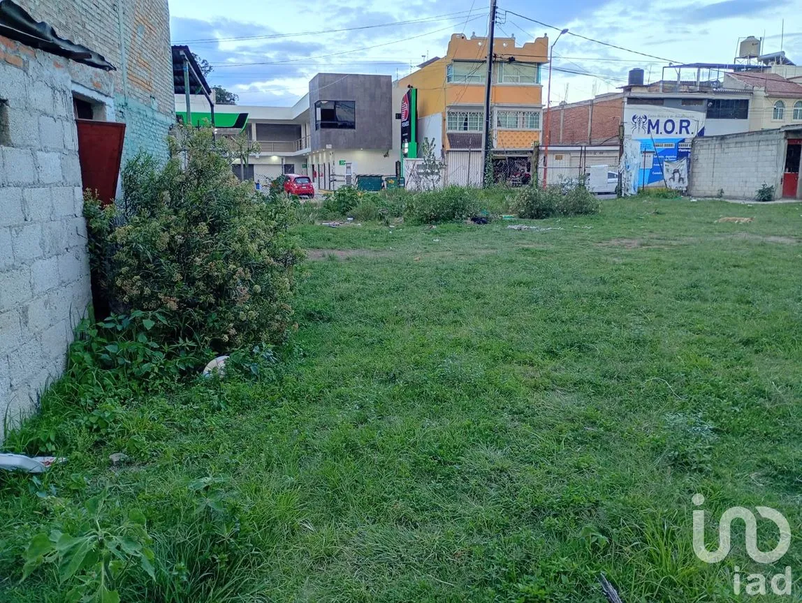 Terreno en Renta en Buenavista, San Martín Texmelucan, Puebla | NEX-257589 | iad México | Foto 4 de 30