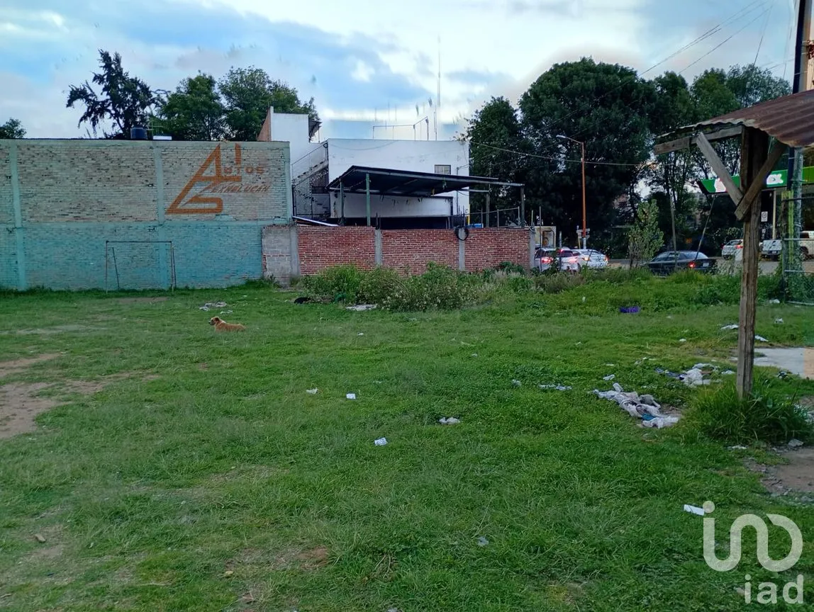 Terreno en Renta en Buenavista, San Martín Texmelucan, Puebla | NEX-257589 | iad México | Foto 10 de 30
