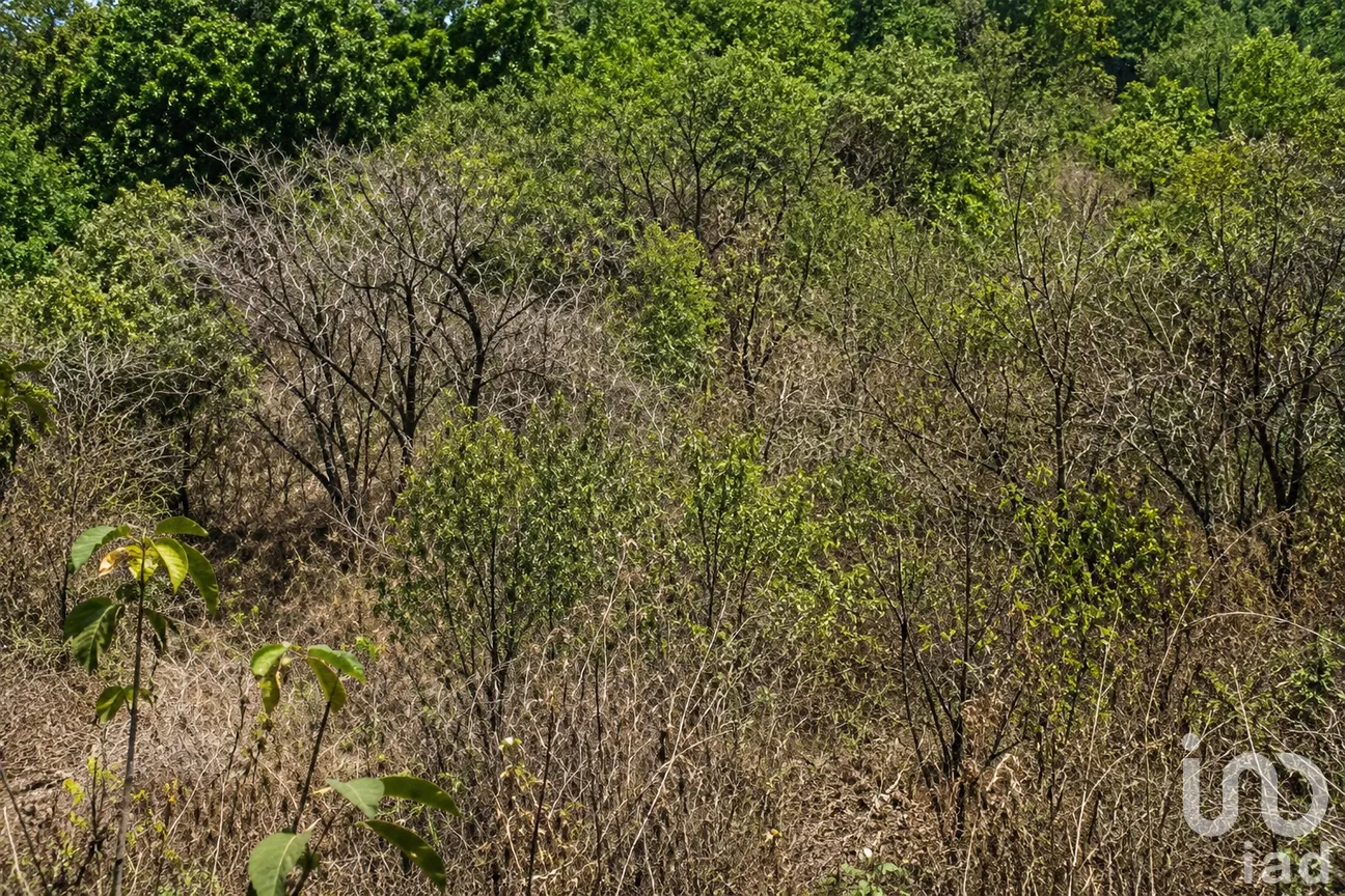 Terreno en Venta en Vista Hermosa, Cuernavaca, Morelos | NEX-300252 | iad México | Foto 3 de 6