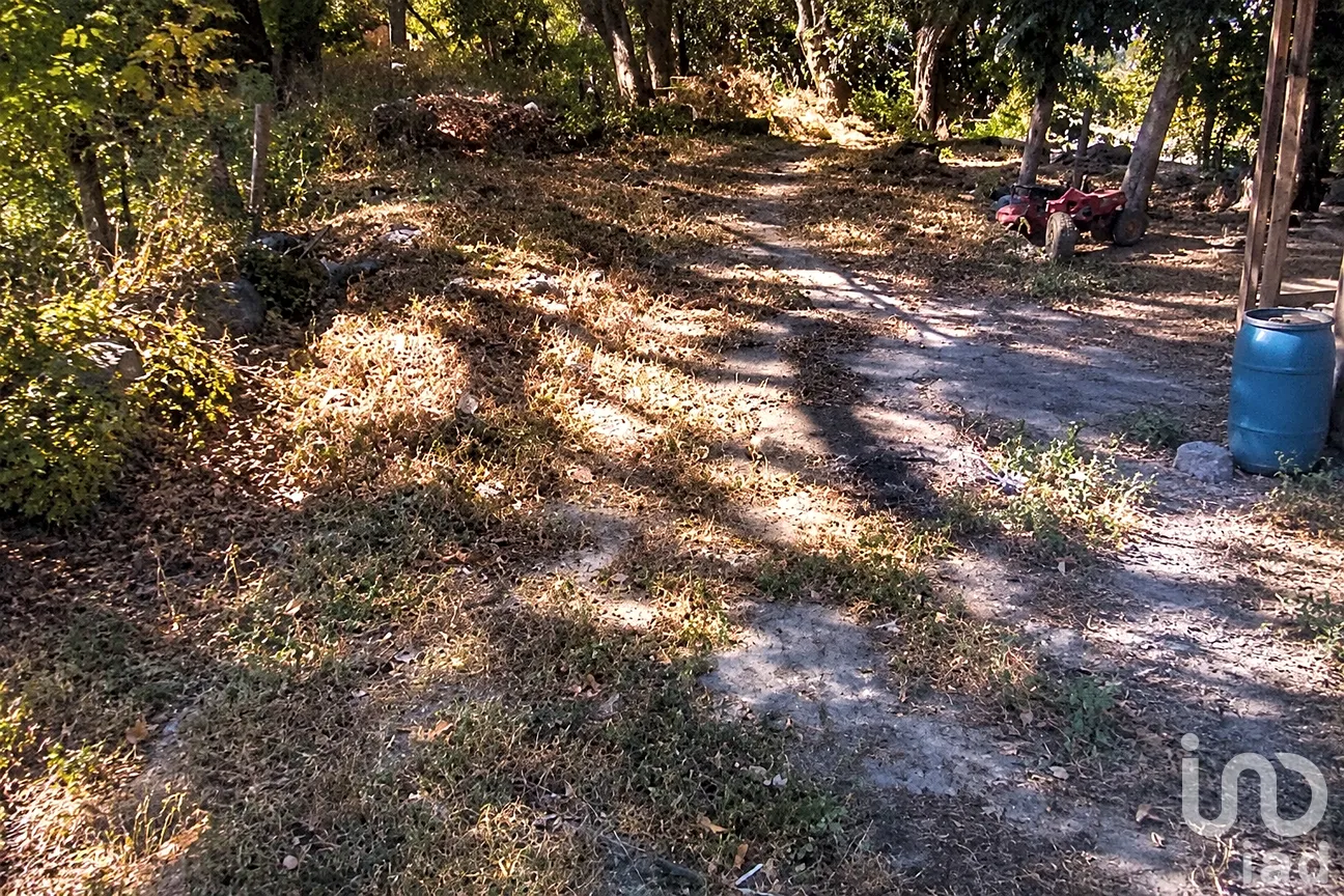 Terreno en Venta en Vista Hermosa, Cuernavaca, Morelos | NEX-300252 | iad México | Foto 4 de 6