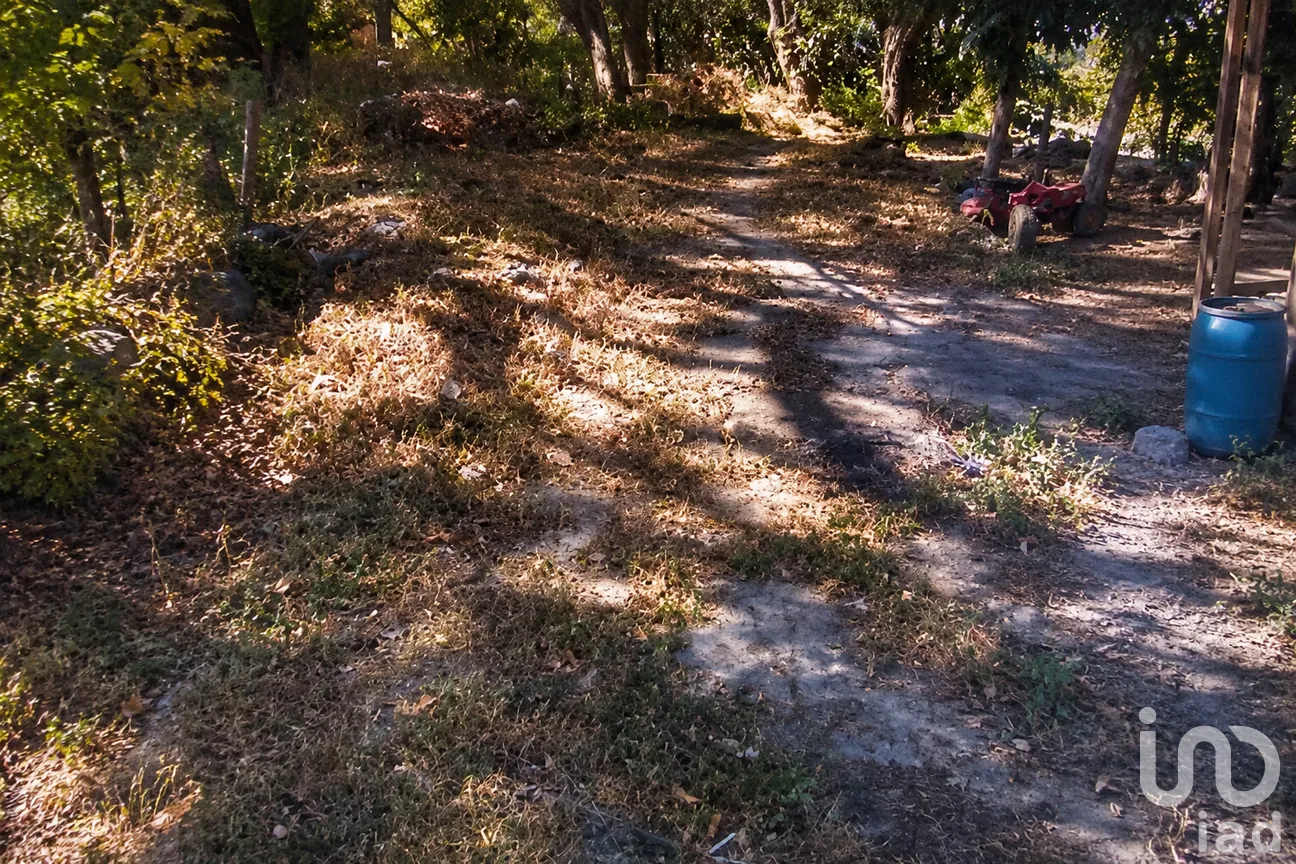 Terreno en Venta en Vista Hermosa, Cuernavaca, Morelos | NEX-300254 | iad México | Foto 3 de 6