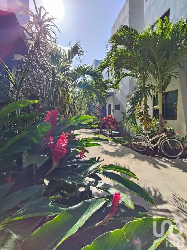 Casa en Renta en El Cielo, Solidaridad, Quintana Roo | NEX-263749 | iad México | Foto 12 de 15