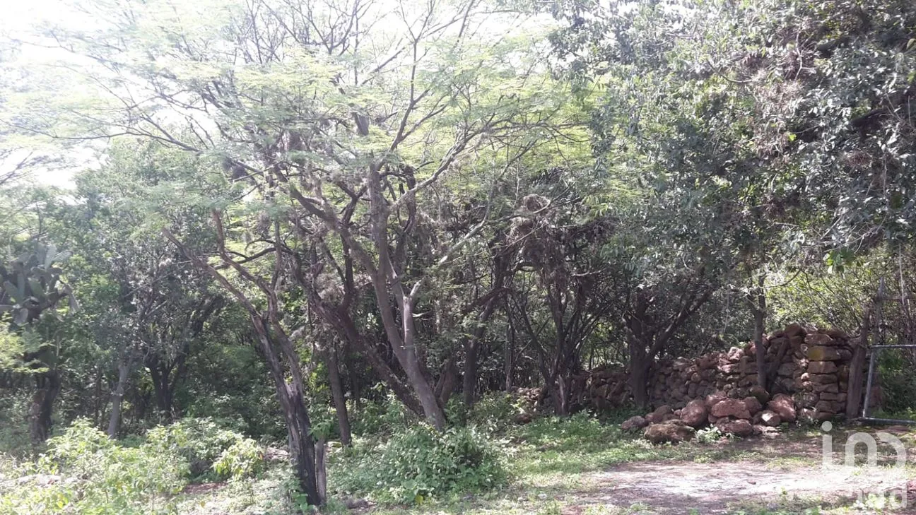 Rancho en Venta en San Juan Temascatío, Irapuato, Guanajuato | NEX-244561 | iad México | Foto 13 de 13