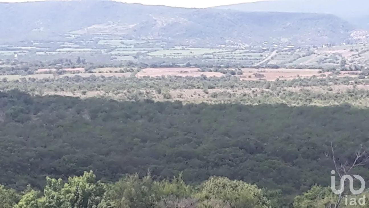 Rancho en Venta en San Juan Temascatío, Irapuato, Guanajuato | NEX-244561 | iad México | Foto 3 de 13