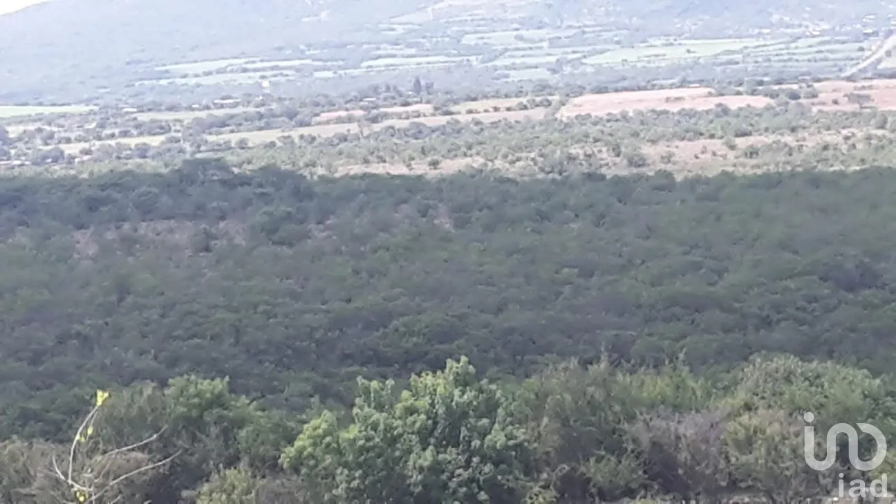 Rancho en Venta en San Juan Temascatío, Irapuato, Guanajuato | NEX-244561 | iad México | Foto 4 de 13