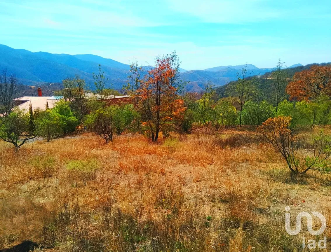 Terreno en Venta en Santa Rosa de Lima, Guanajuato, Guanajuato | NEX-245672 | iad México | Foto 12 de 13