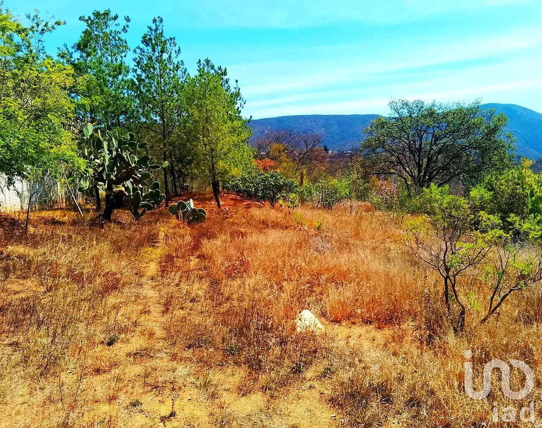 Terreno en Venta en Santa Rosa de Lima, Guanajuato, Guanajuato | NEX-245679 | iad México | Foto 7 de 12