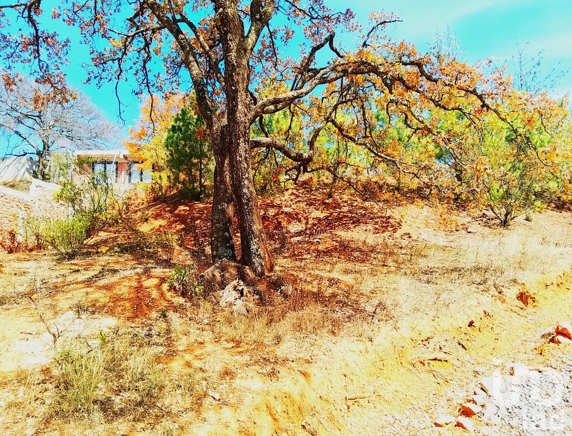 Terreno en Venta en Santa Rosa de Lima, Guanajuato, Guanajuato | NEX-245696 | iad México | Foto 13 de 14
