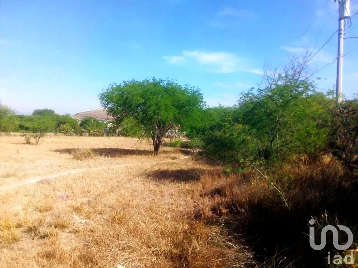 Terreno en Venta en Hidalgo Sur 6ta. Manzana, Tecozautla, Hidalgo | NEX-258275 | iad México | Foto 2 de 7