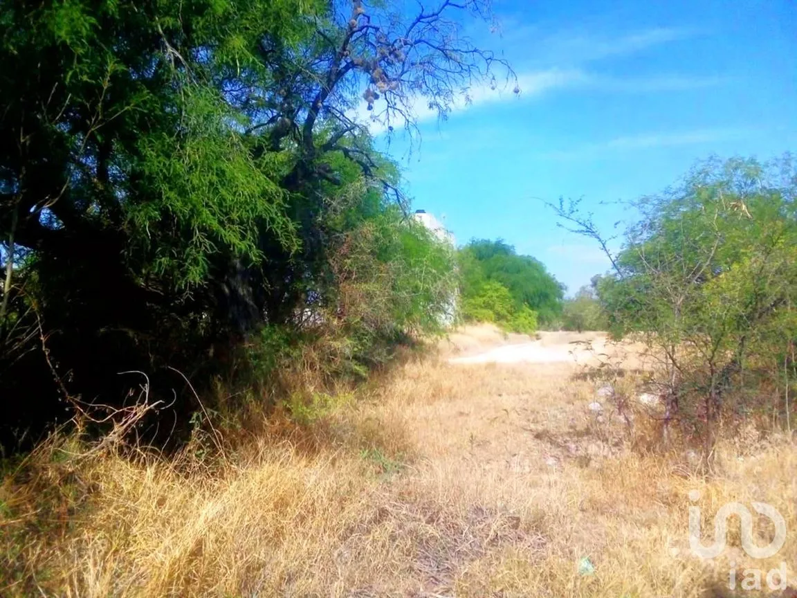 Terreno en Venta en Hidalgo Sur 6ta. Manzana, Tecozautla, Hidalgo | NEX-258275 | iad México | Foto 3 de 7
