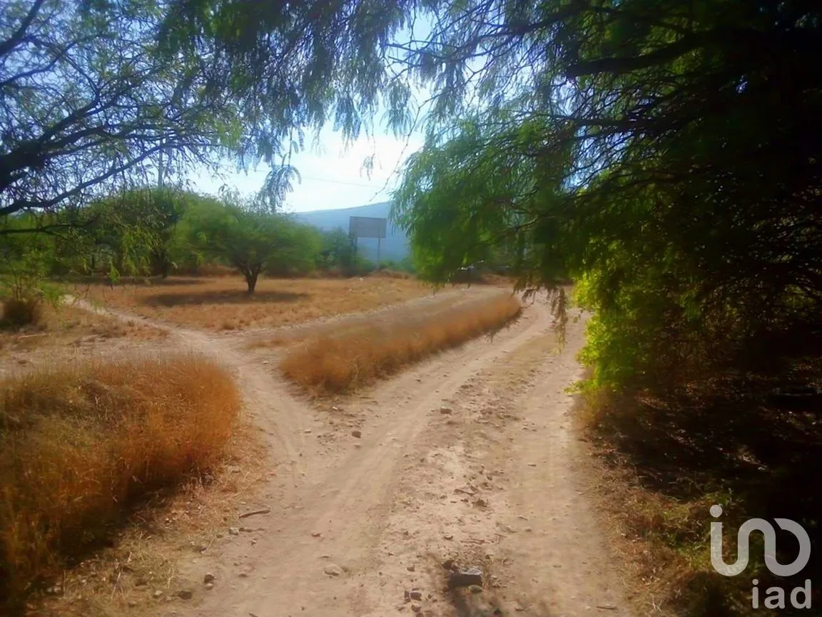 Terreno en Venta en Hidalgo Sur 6ta. Manzana, Tecozautla, Hidalgo | NEX-258275 | iad México | Foto 4 de 7