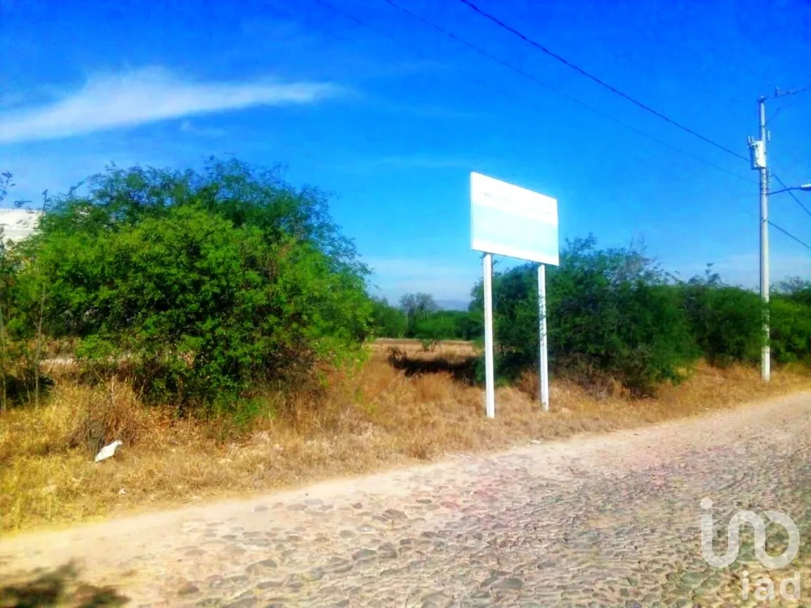 Terreno en Venta en Hidalgo Sur 6ta. Manzana, Tecozautla, Hidalgo | NEX-258275 | iad México | Foto 5 de 7