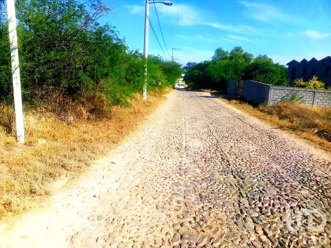Terreno en Venta en Hidalgo Sur 6ta. Manzana, Tecozautla, Hidalgo | NEX-258275 | iad México | Foto 6 de 7