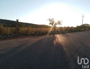 NEX-247324 - Terreno en Venta en Las Higueras del Conchi, CP 82274, Sinaloa.