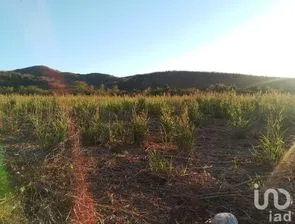 NEX-248199 - Terreno en Venta en Las Higueras del Conchi, CP 82274, Sinaloa.
