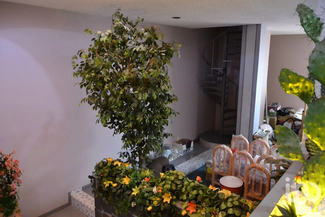 Casa en Venta en San Jerónimo Aculco, La Magdalena Contreras, Ciudad de México | NEX-254851 | iad México | Foto 6 de 28