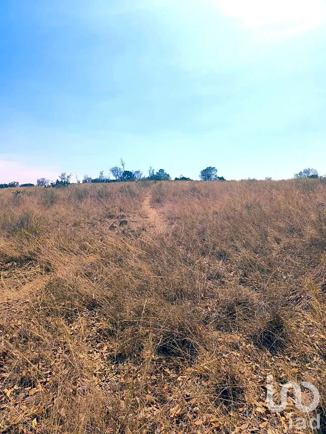 Terreno en Venta en El Bothé, Amealco de Bonfil, Querétaro | NEX-246353 | iad México | Foto 3 de 5