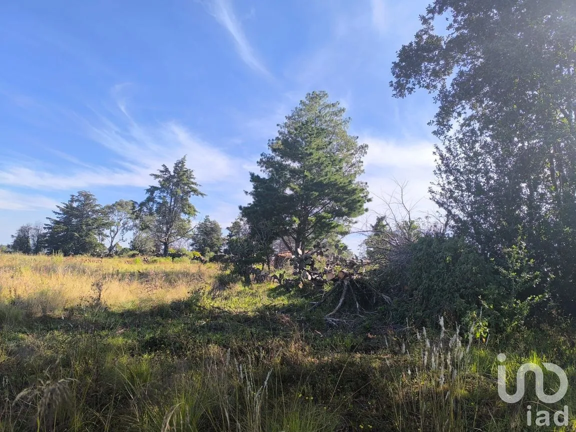 Terreno en Venta en La Mora, Amealco de Bonfil, Querétaro | NEX-246367 | iad México | Foto 11 de 15