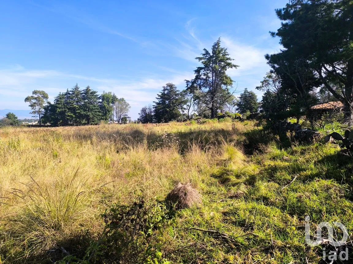 Terreno en Venta en La Mora, Amealco de Bonfil, Querétaro | NEX-246367 | iad México | Foto 12 de 15