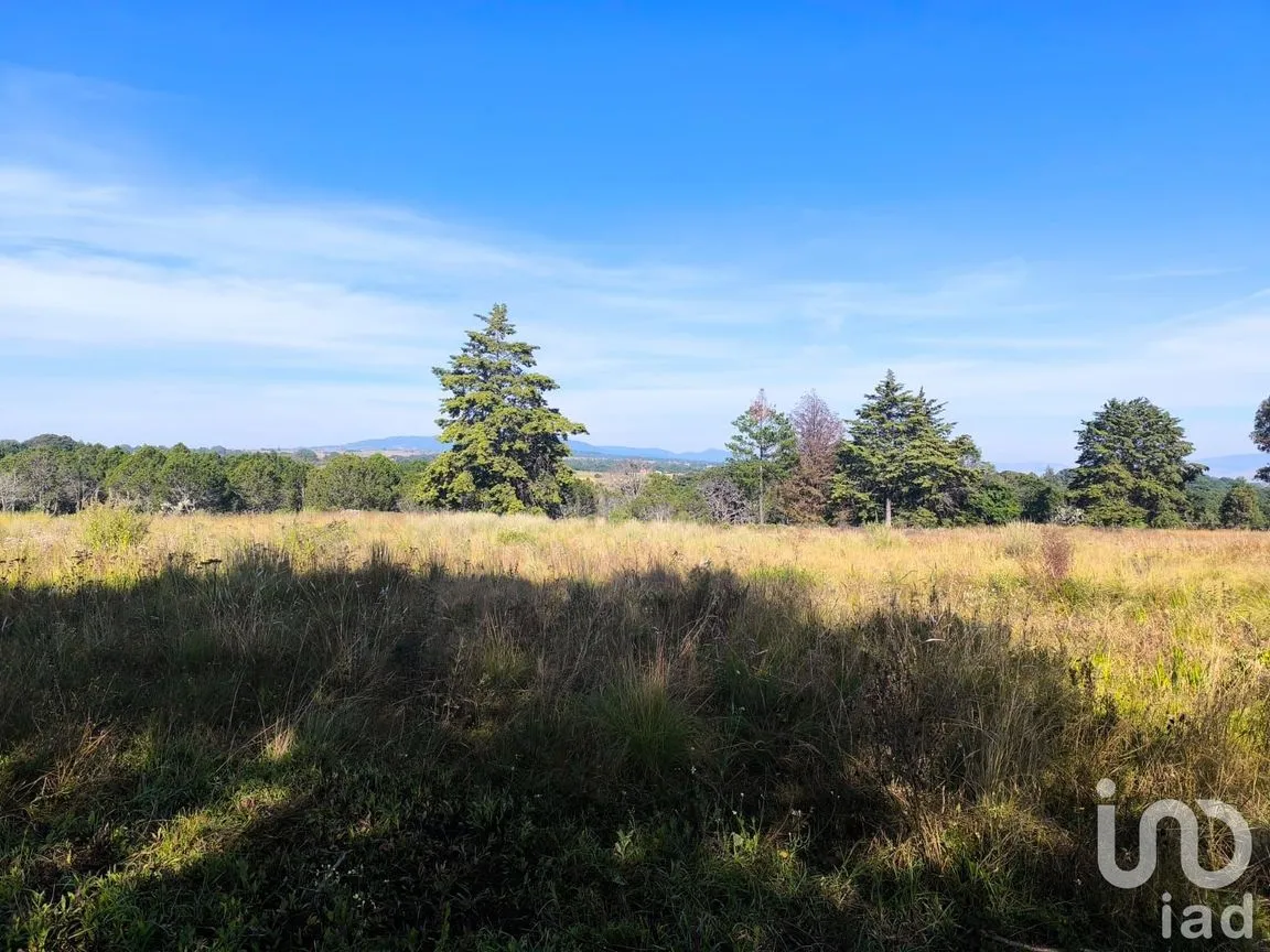 Terreno en Venta en La Mora, Amealco de Bonfil, Querétaro | NEX-246367 | iad México | Foto 14 de 15