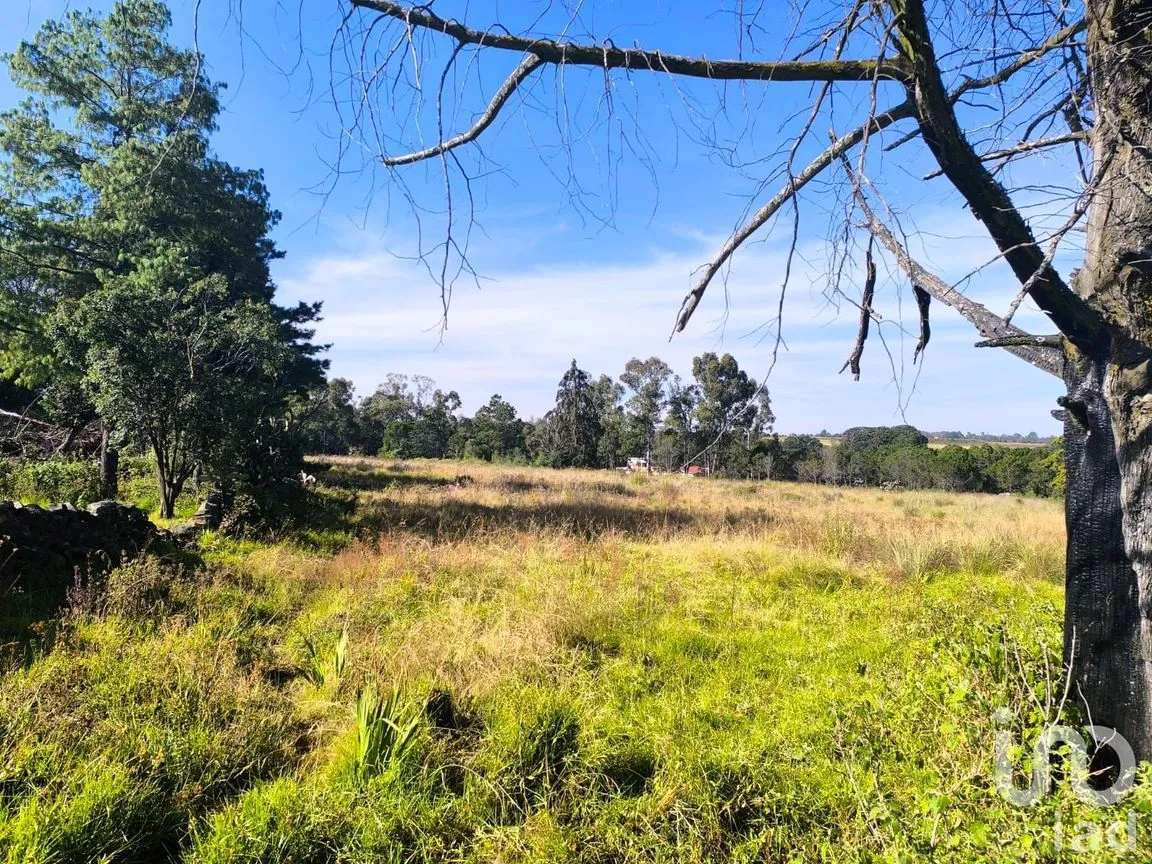 Terreno en Venta en La Mora, Amealco de Bonfil, Querétaro | NEX-246367 | iad México | Foto 15 de 15