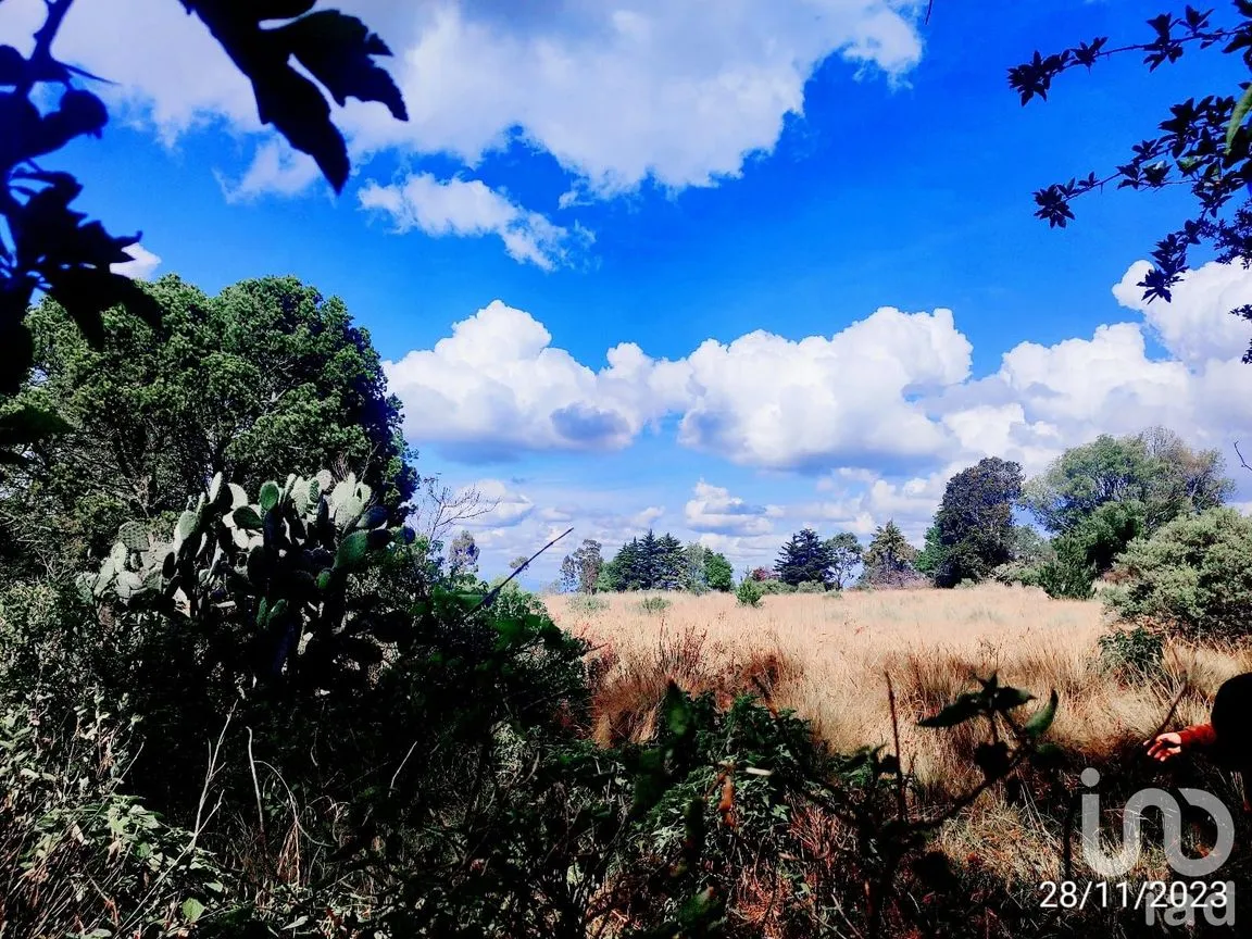 Terreno en Venta en La Mora, Amealco de Bonfil, Querétaro | NEX-246367 | iad México | Foto 3 de 15