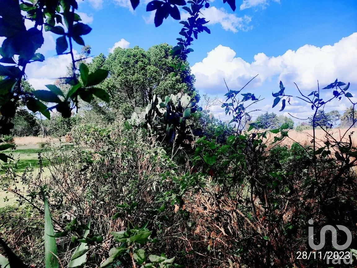 Terreno en Venta en La Mora, Amealco de Bonfil, Querétaro | NEX-246367 | iad México | Foto 4 de 15