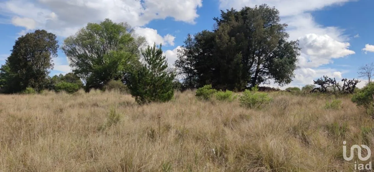 Terreno en Venta en La Mora, Amealco de Bonfil, Querétaro | NEX-246367 | iad México | Foto 5 de 15