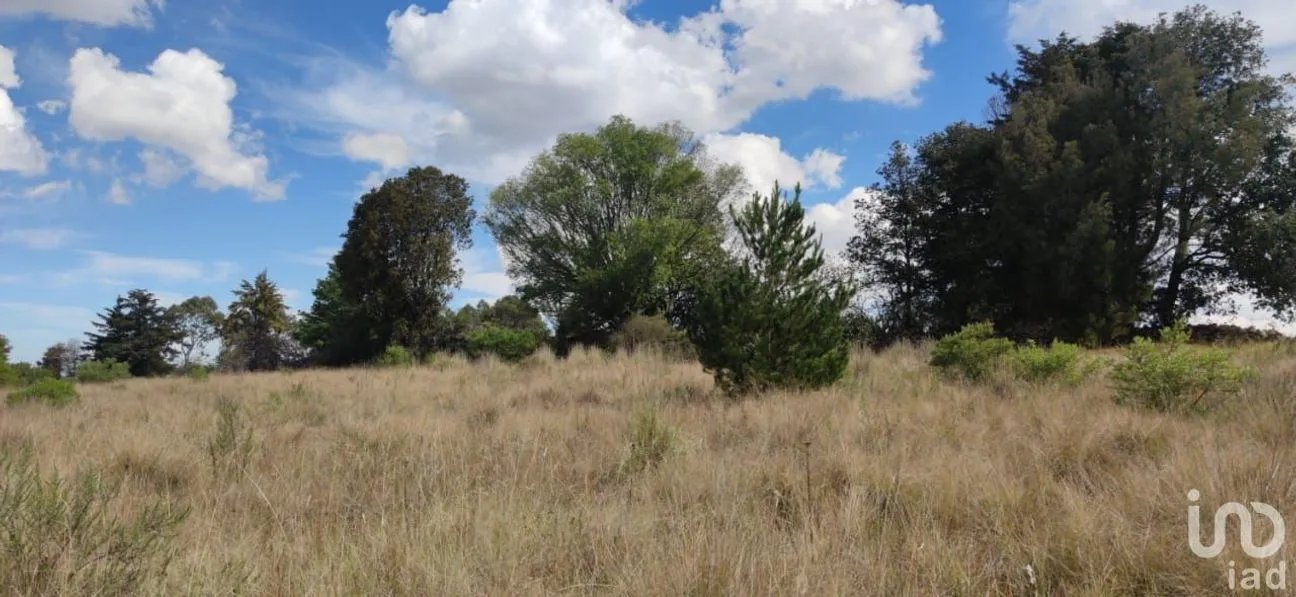 Terreno en Venta en La Mora, Amealco de Bonfil, Querétaro | NEX-246367 | iad México | Foto 6 de 15