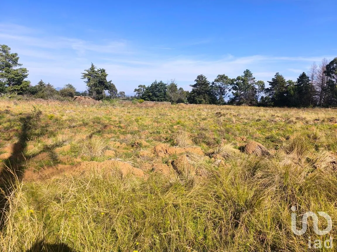 Terreno en Venta en La Mora, Amealco de Bonfil, Querétaro | NEX-246367 | iad México | Foto 8 de 15