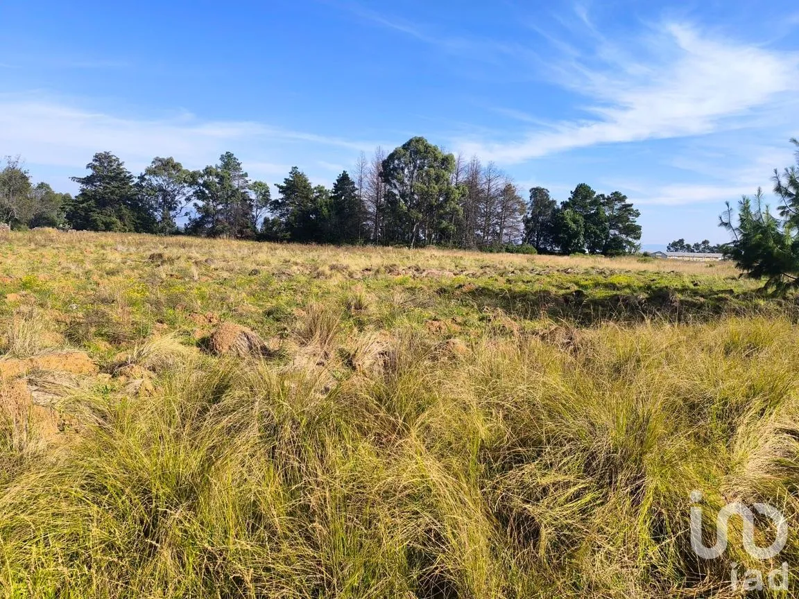 Terreno en Venta en La Mora, Amealco de Bonfil, Querétaro | NEX-246367 | iad México | Foto 9 de 15