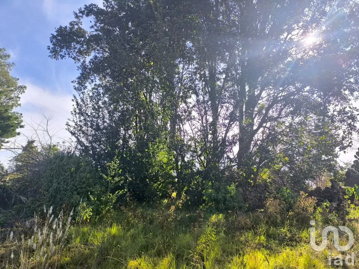 Terreno en Venta en La Mora, Amealco de Bonfil, Querétaro | NEX-246367 | iad México | Foto 10 de 15