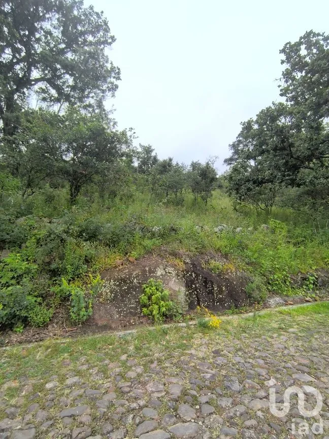 Terreno en Venta en El Batán, Amealco de Bonfil, Querétaro | NEX-246654 | iad México | Foto 2 de 8