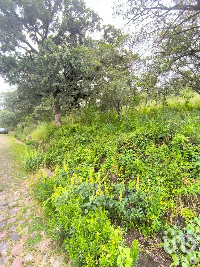 Terreno en Venta en El Batán, Amealco de Bonfil, Querétaro | NEX-246654 | iad México | Foto 3 de 8